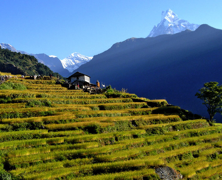 Nepal, The world in itself - Nature, Wildlife, Culture and Himalayas