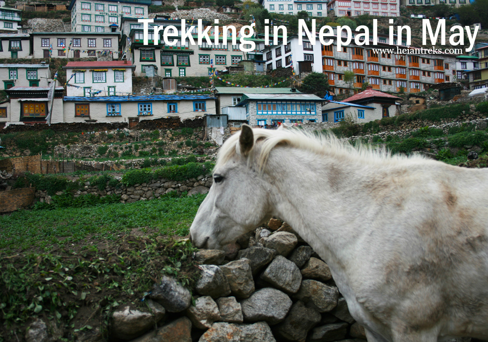 Trekking in Nepal in May